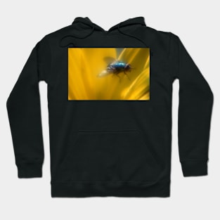 Fly Hoodie